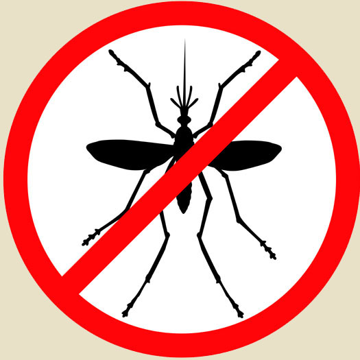 No Mosquitoes